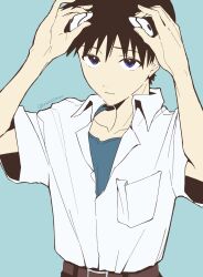 ikari shinji from neon genesis evangelion