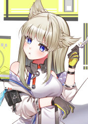 perlica (arknights) from arknights