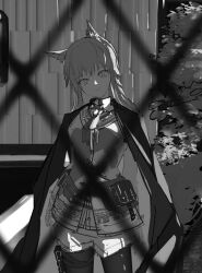 texas (arknights) from arknights