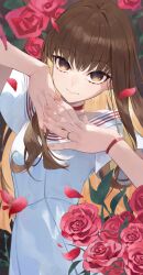 kishinami hakuno (female) from fate/extra