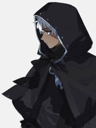fate/strange fake fan art