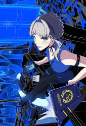 persona fan art