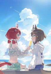 cheval grand (umamusume) from umamusume