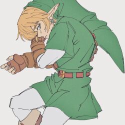 link from the legend of zelda by msk3284tloz