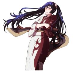 severa (fire emblem) from fire emblem