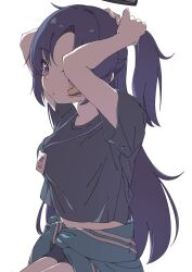 yuuka (blue archive) from blue archive