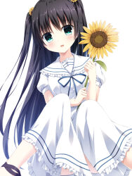 kousaka chihaya from natsuzora kanata