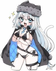 dobrynya nikitich (fate) from fate/grand order