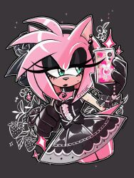 amy rose from sonic (series)