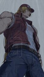 terry bogard from fatal fury