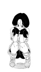 videl from dragon ball
