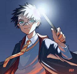 harry potter from harry potter (series)