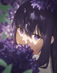 muimi fan art