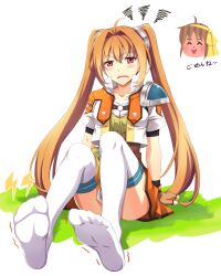 anelace elfead from eiyuu densetsu