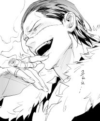 crocodile (one piece) from one piece