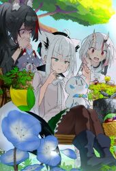 miofa (ookami mio) from hololive