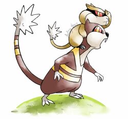 patrat from pokemon