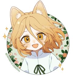 kudamaki tsukasa from touhou