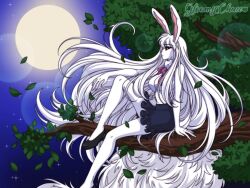 carrot (one piece) from one piece