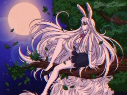 carrot (one piece) from one piece