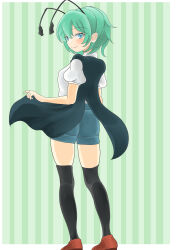 wriggle nightbug from touhou