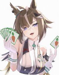 umamusume fan art