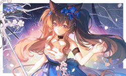 angelina (arknights) from ambience synesthesia