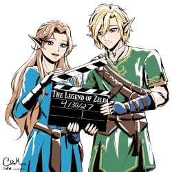 link from the legend of zelda