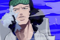 one piece fan art