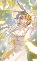 savage (arknights) from arknights
