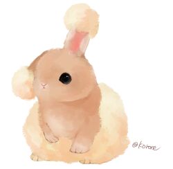 buneary from pokemon