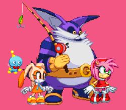 amy rose from sonic (series)