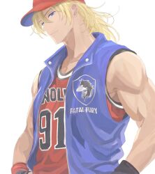 terry bogard from fatal fury