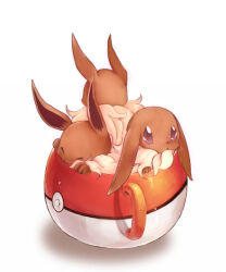 eevee from pokemon by izusetsu