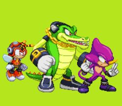 charmy bee from sonic (series)