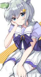 seiun sky (umamusume) from umamusume