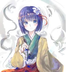 hieda no akyuu from touhou
