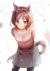 sakura laurel (umamusume) from umamusume
