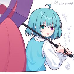 tatara kogasa from touhou