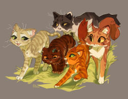 warrior cats fan art