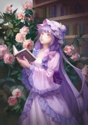 patchouli knowledge from touhou