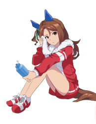 king halo (umamusume) from umamusume