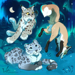 lynx from original