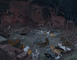 warrior cats fan art