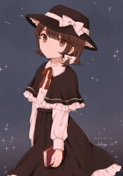 usami renko from touhou