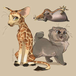gloria (madagascar) from madagascar (series)