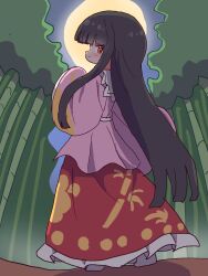houraisan kaguya from touhou by magg (user mtca8588)