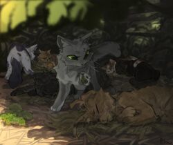 warrior cats fan art