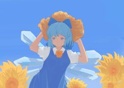 cirno from touhou
