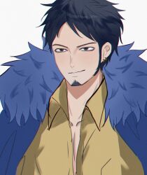 trafalgar law from one piece